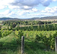Sassy Wines - St Kilda Accommodation