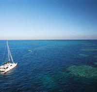 Bait Reef and Garys Lagoon Dive Site - St Kilda Accommodation