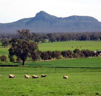 The Rock Nature Reserve - St Kilda Accommodation