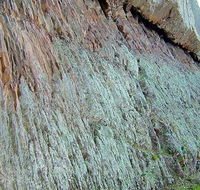 The Rock Nature Reserve - Kengal Aboriginal Place - St Kilda Accommodation
