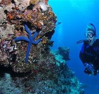 Lighthouse Bommie Dive Site - St Kilda Accommodation