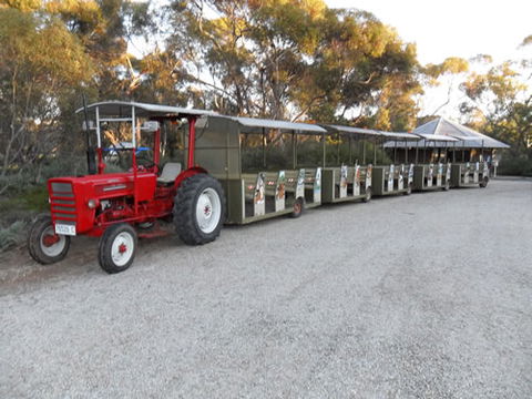 Australian Inland Botanic Gardens - St Kilda Accommodation 4