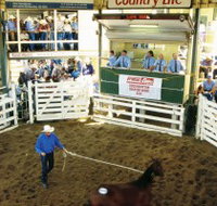 Gracemere Exhibition Complex - St Kilda Accommodation