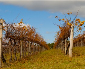 Charles Sturt University Winery Wagga Wagga - St Kilda Accommodation 3