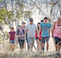 Winton Wetlands Reserve - St Kilda Accommodation