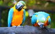 The Rockhampton Zoo - thumb 2