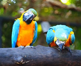 The Rockhampton Zoo - St Kilda Accommodation 2