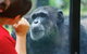 The Rockhampton Zoo - thumb 0