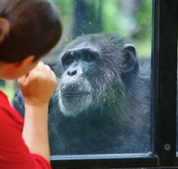The Rockhampton Zoo - St Kilda Accommodation