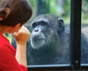 The Rockhampton Zoo - St Kilda Accommodation 0