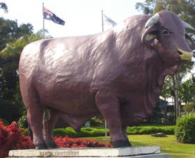 Rockhampton Bull Statues - St Kilda Accommodation 0