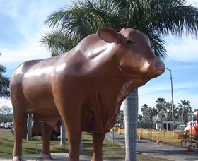 Rockhampton Bull Statues - St Kilda Accommodation 3