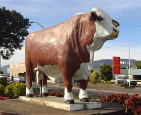 Rockhampton Bull Statues - St Kilda Accommodation 2