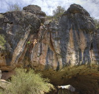 Borenore Karst Conservation Reserve - St Kilda Accommodation