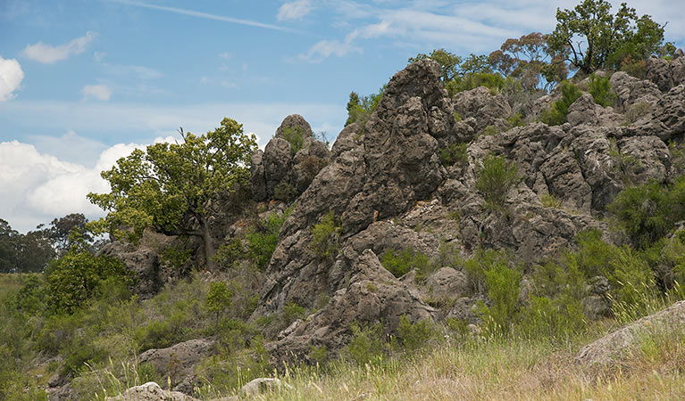 Lidster NSW St Kilda Accommodation