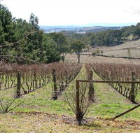 Habitat Vineyard - St Kilda Accommodation