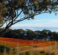 Bloodwood Estate - St Kilda Accommodation
