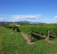 Hedberg Hill Wines - St Kilda Accommodation