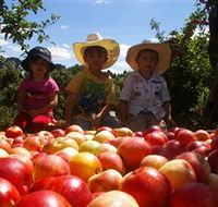 Bonny Glen Fruits - St Kilda Accommodation
