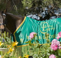 Living Legends The International Home of Rest for Champion Horses - St Kilda Accommodation