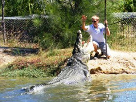 Koorana Crocodile Farm - St Kilda Accommodation 1