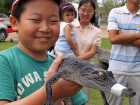 Koorana Crocodile Farm - St Kilda Accommodation 2