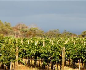Amulet Vineyard And Beechworth Cider - St Kilda Accommodation 7