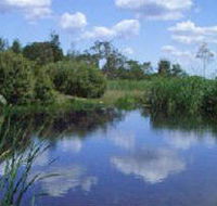 Yan Yean Reservoir Park - St Kilda Accommodation