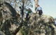 Mount Samaria State Park - thumb 0