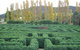 Brookfield Maze - thumb 0