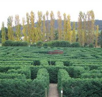 Brookfield Maze - St Kilda Accommodation