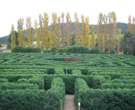 Brookfield Maze - St Kilda Accommodation 0