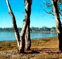 Lake Broadwater Conservation Park - St Kilda Accommodation