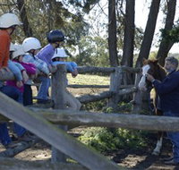 Harlow Park Horse Riding - St Kilda Accommodation