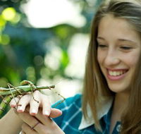 CSIRO Discovery Centre - St Kilda Accommodation