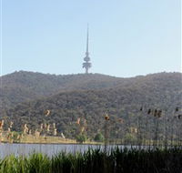 Black Mountain Peninsula - St Kilda Accommodation