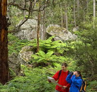 Centennial Glen - St Kilda Accommodation
