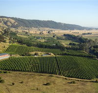 Lerida Estate Winery and Restaurant - St Kilda Accommodation