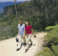 Blue Mountains Walking Tracks - St Kilda Accommodation