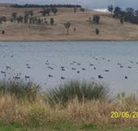 Lake Liddell Recreation Area - St Kilda Accommodation