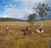 Chapman Valley Horse Riding - St Kilda Accommodation