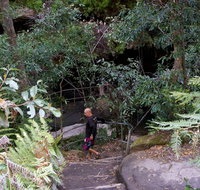 Leura Cascades Fern Bower - St Kilda Accommodation