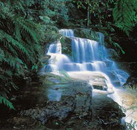 Leura Cascades - St Kilda Accommodation