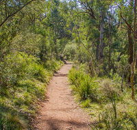 Mares Forest Creek walking track - St Kilda Accommodation