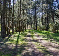 Wombeyan Waterfall walking track - St Kilda Accommodation