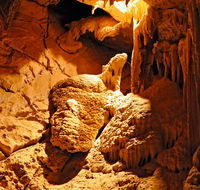 Fig Tree Cave - St Kilda Accommodation