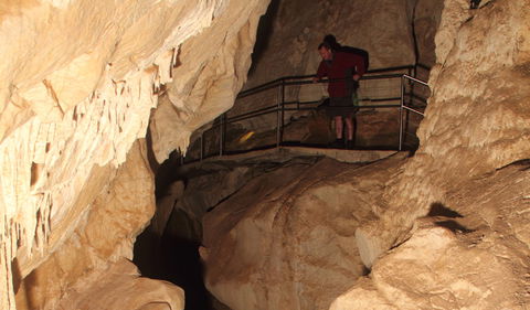 Fig Tree Cave - St Kilda Accommodation 3