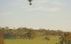 Avon Valley National Park - thumb 1