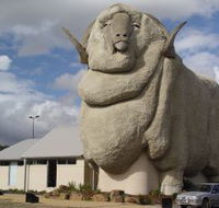 Big Merino - St Kilda Accommodation