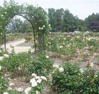 Victoria Park Rose Garden - St Kilda Accommodation